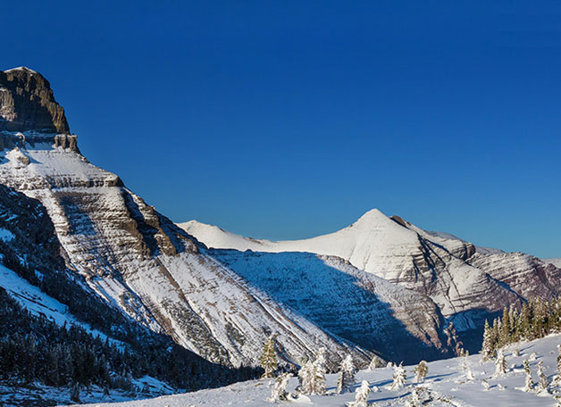 Montana